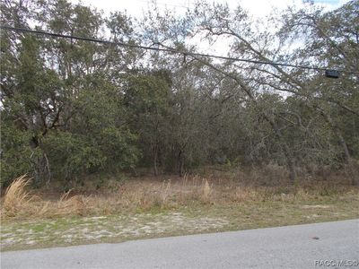 979 W Pearson St, Hernando, FL, 34442