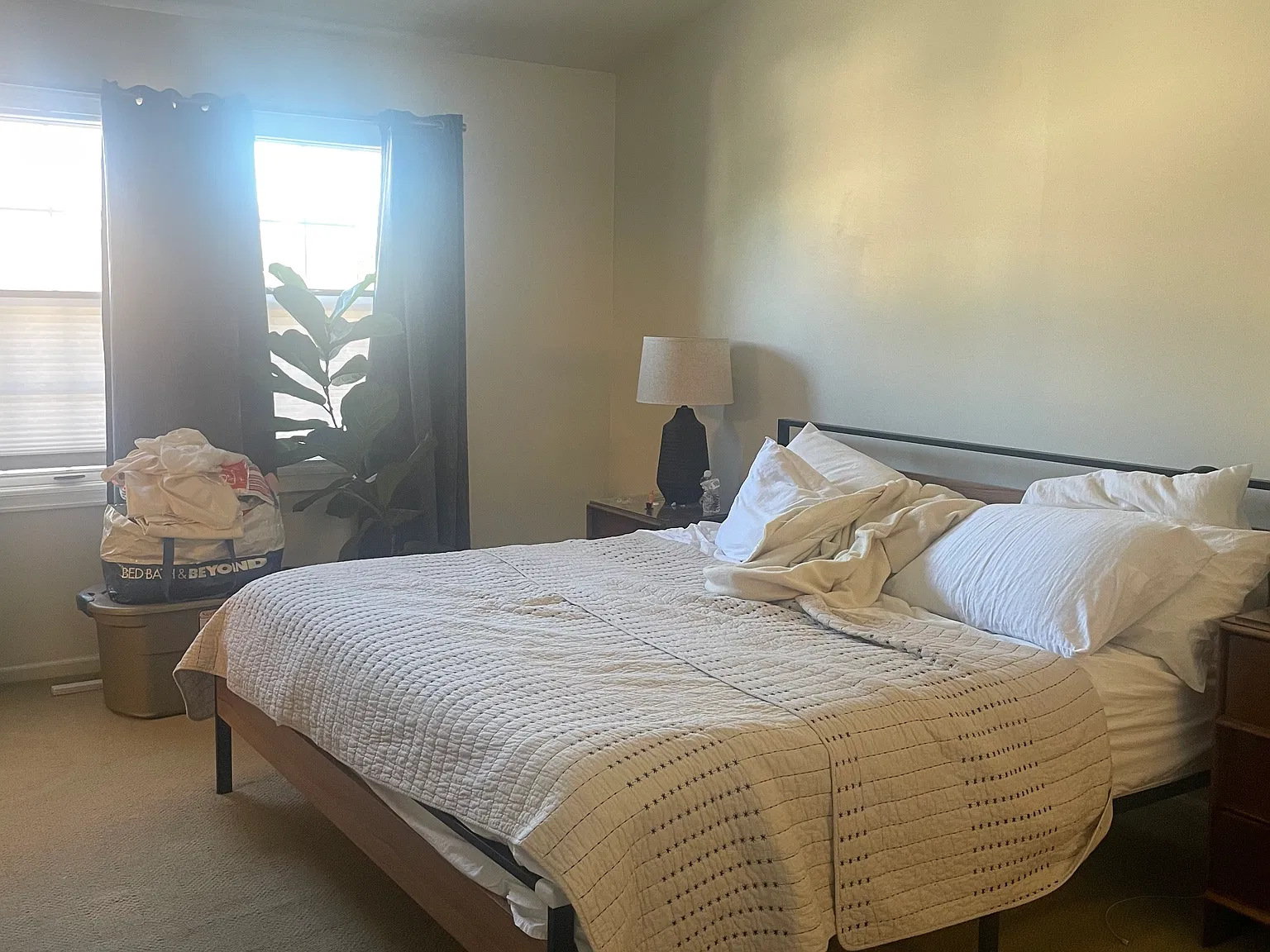 1 bed, 1100 sqft, $2,250 — Photo 3