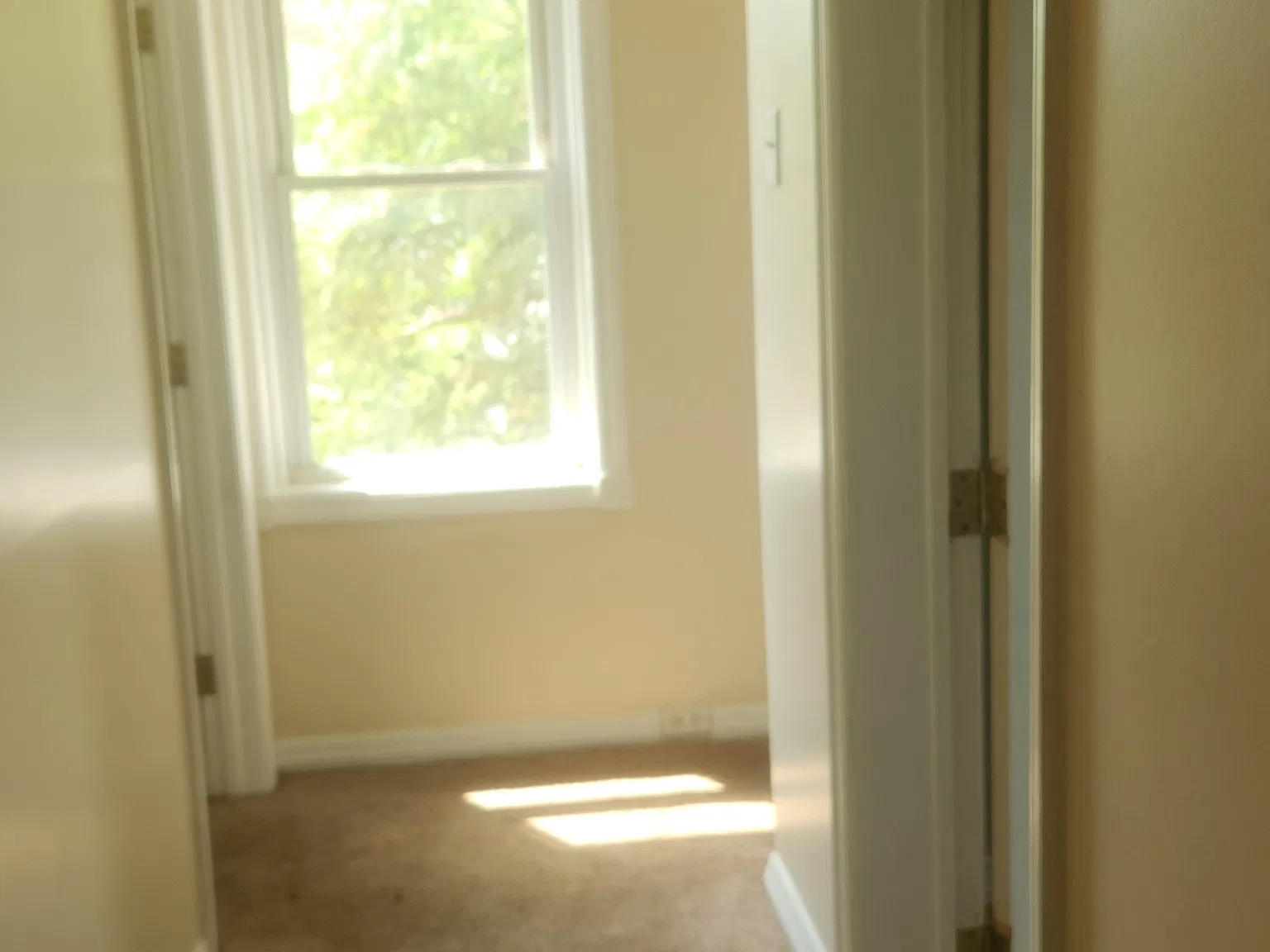 340 Mountain Ave — Photo 4