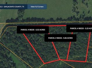 Buck Creek Rd, Shepherd, TX 77371