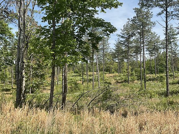 5th image of 0 Saddleback Dr Lot 2