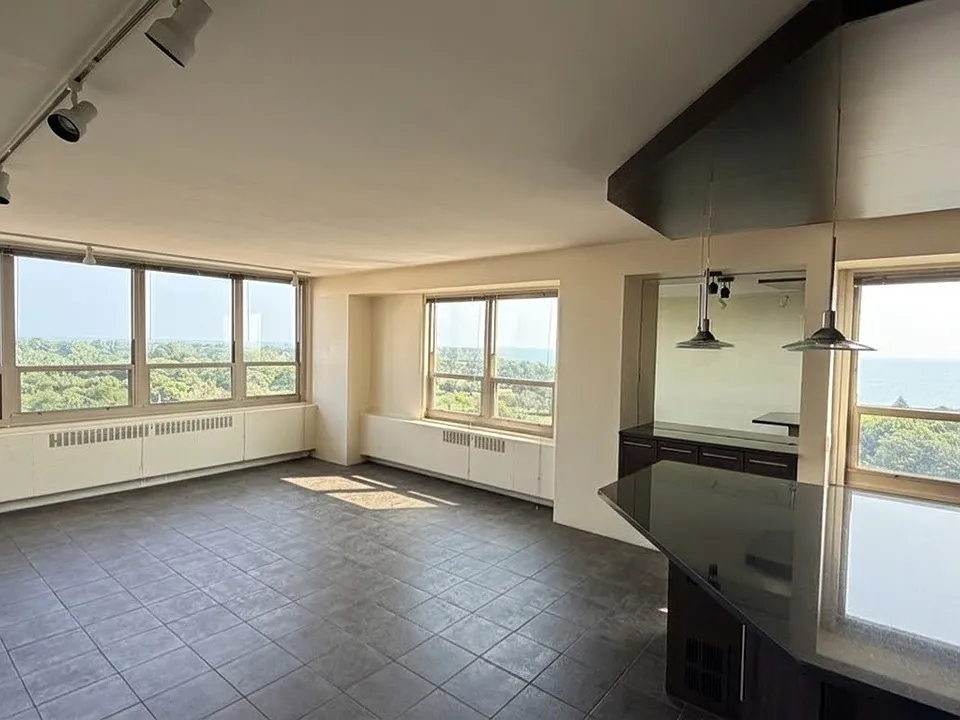 3950 N Lake Shore Dr #1100A