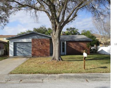 1714 Hibiscus Cir N, Oldsmar, FL, 34677