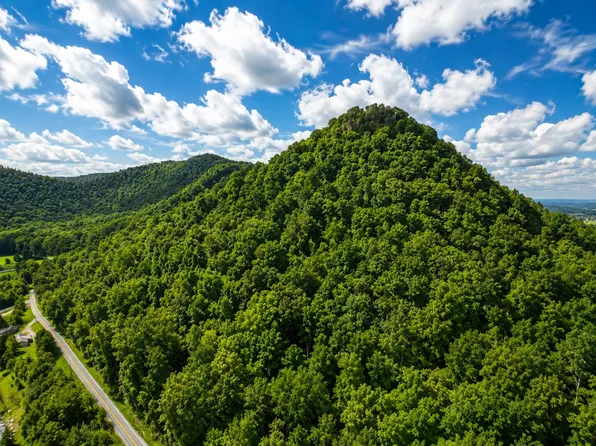 2924 Red Lick Rd, Irvine, KY 40336