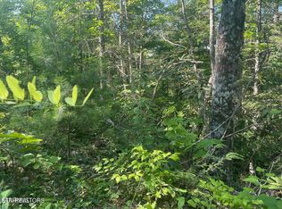 LOT 1 Sycamore St, Sevierville, TN 37876