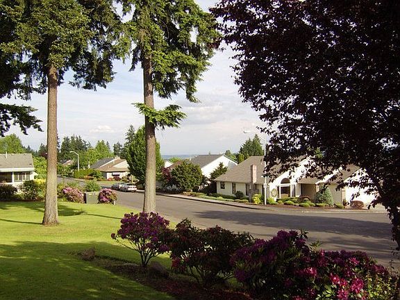 Neighborhood street view
