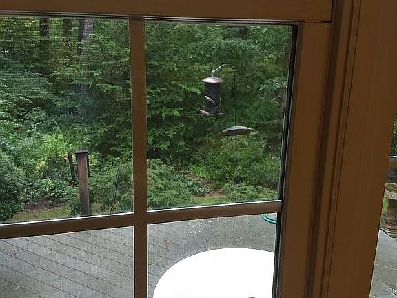 NATURE VIEWING