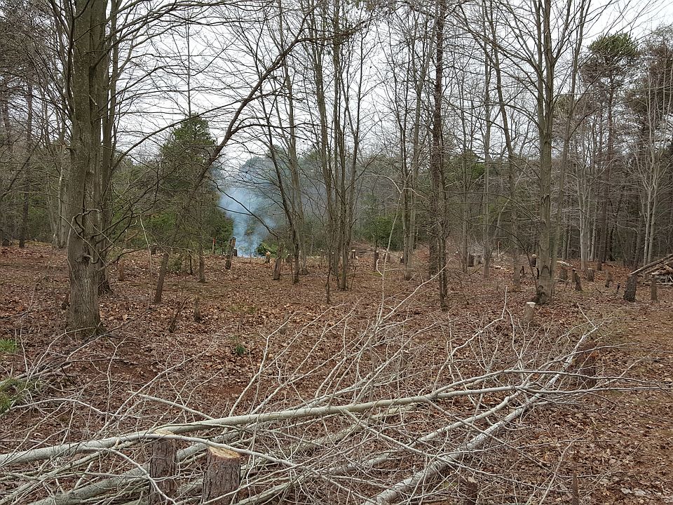 2nd image of Red Pine Trail