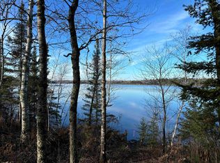 Xxx7 Powerhouse Trl LOT 7, Ely, MN 55731