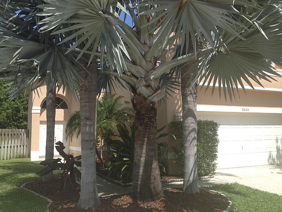 2nd image of 8063 Stirrup Cay Ct