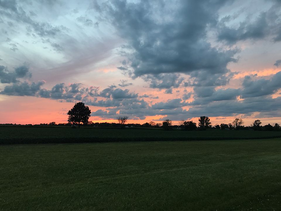 View from backyard