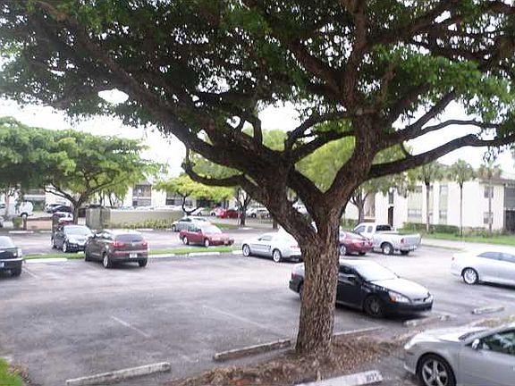 2nd image of 4142 NW 90th Ave APT 205