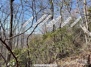 0 Eagle Roost Rd, Maggie Valley, NC 28751