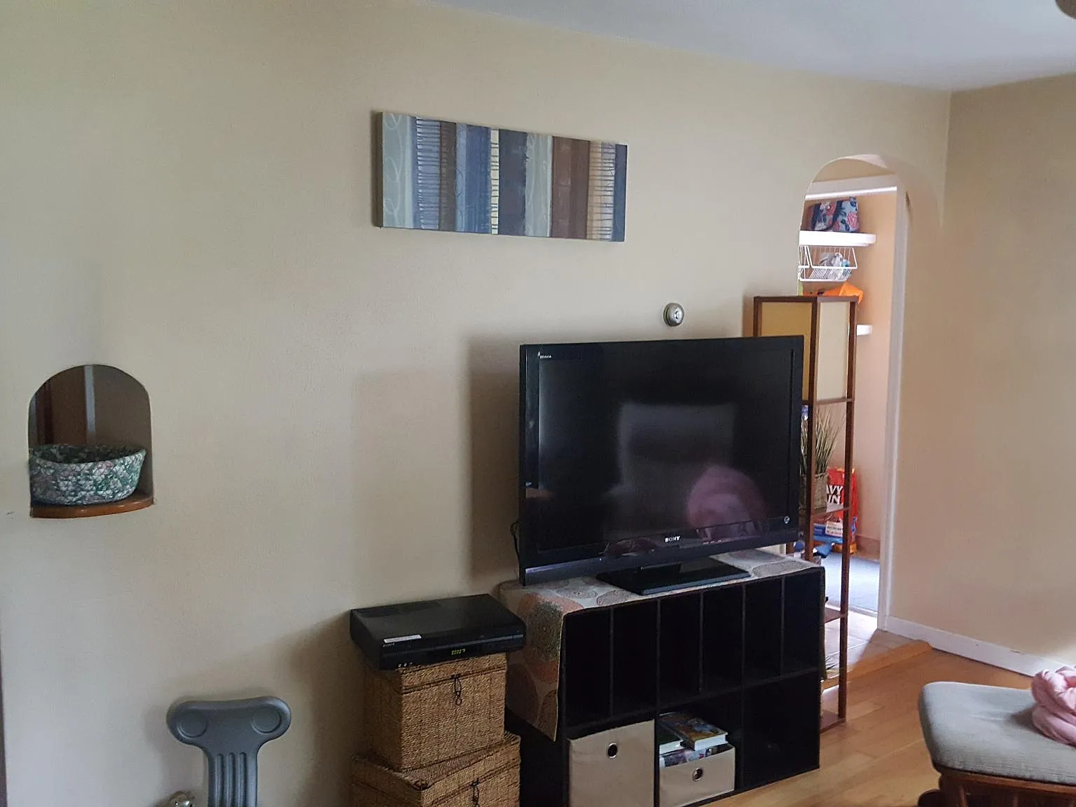 3 bed, 950 sqft, $1,390 — Photo 2