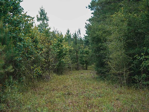 2nd image of 0 Garner Rd