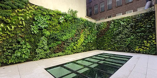 Rented by City Limits Leasing