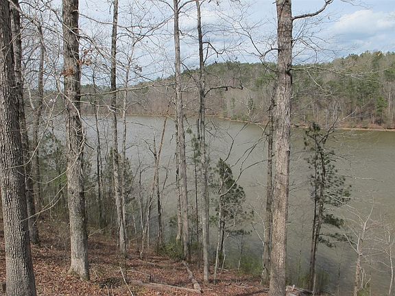 5th image of LOT Twenty Foster Cove Dr