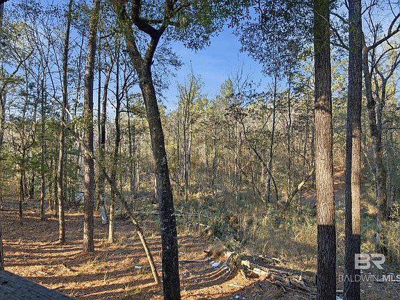 5th image of 9510 Dolive Rd