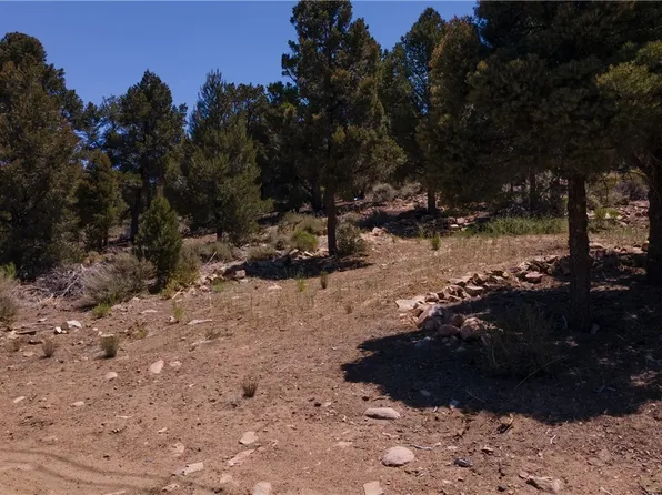 0 Upland Dr, Big Bear City, CA 92314