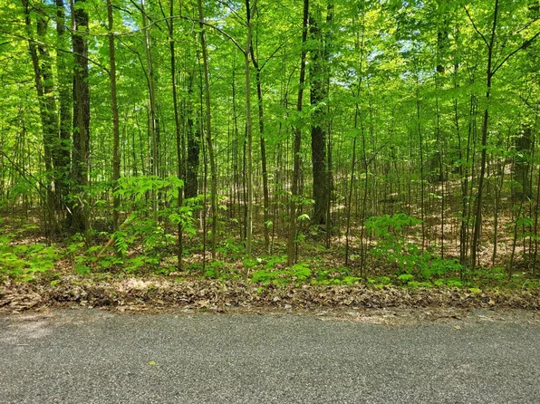 6 Bears Paw Trl, Vanderbilt, MI 49795