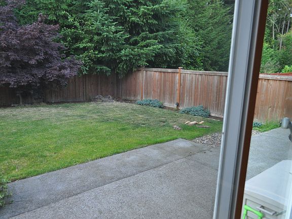 Patio and Back Yard