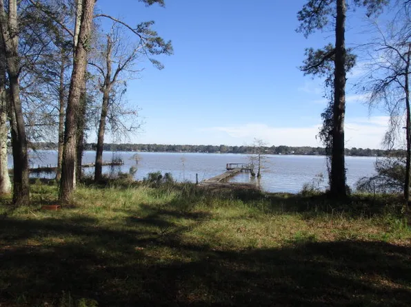 687F Flintside Extension Rd, Cobb, GA 31735