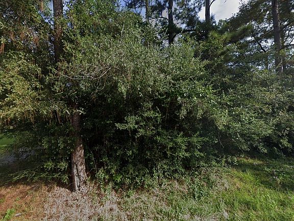 2nd image of 476 Pine Burr Loop