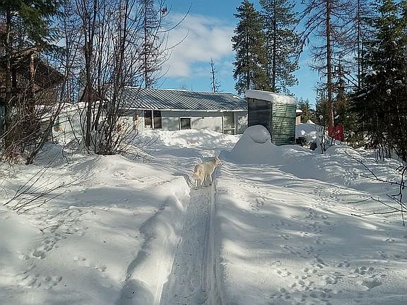 Trail to the cabin/ barn 