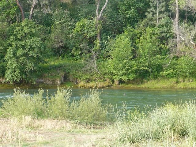 1st image of 15170 China Rapids Dr