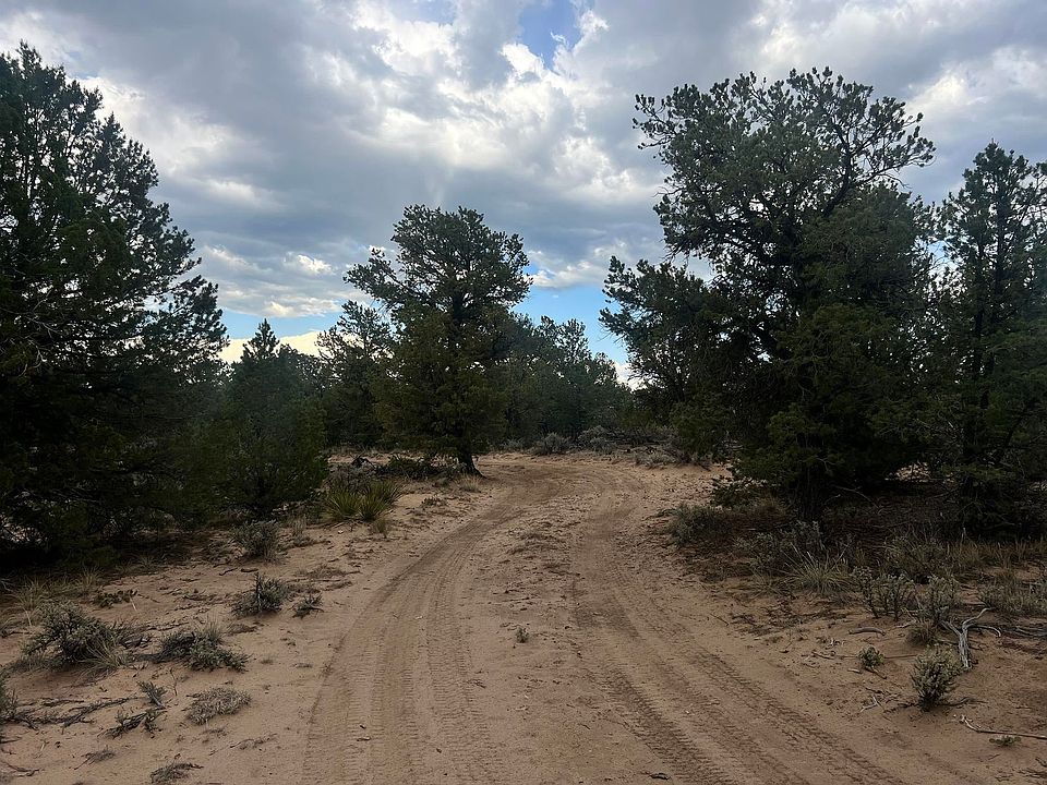 1st image of TBD Forest Road 556