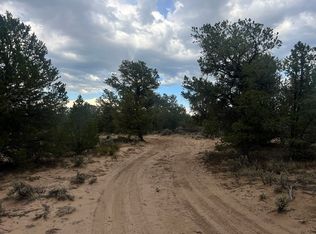 Forest Rd #556, Carson, NM 87517
