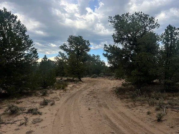TBD Forest Road 556, Carson, NM 87517-0000