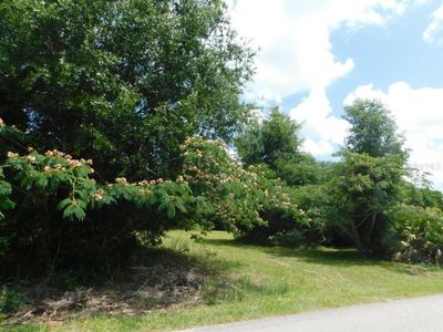 0 NW 66TH STREET LOT 21, Ocala, FL, 34475
