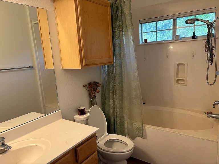 1481 E Old Settlers Blvd #1602 — Photo 17