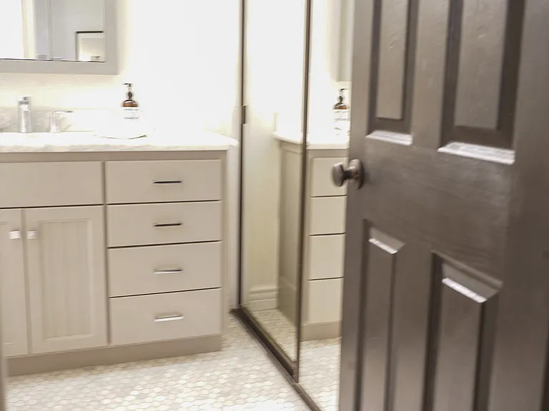 Primary bath & shower
