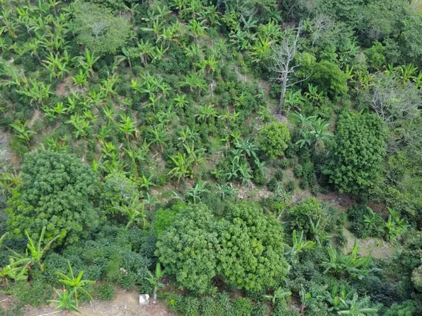 Bo Montes Llano Carr 505 Km #12.4, Ponce, PR 00731