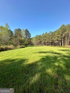 0 Jw Dunn Rd, Warm Springs, GA, 31830