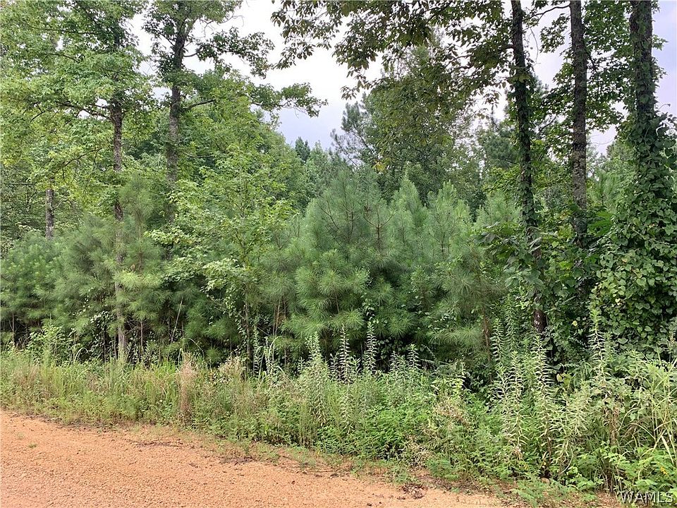2nd image of 0 Jim Taylor Rd