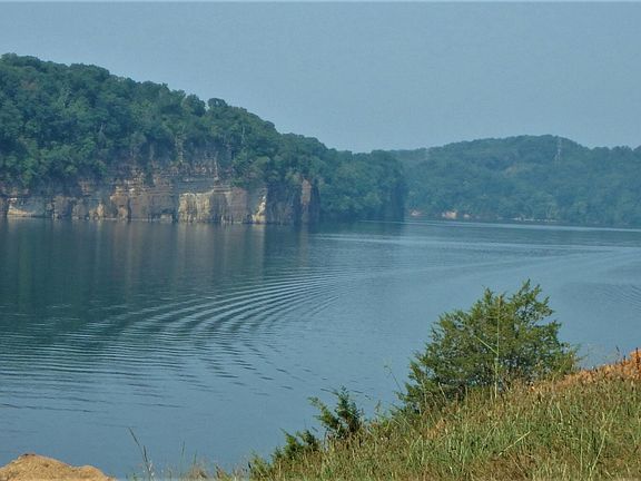 Image 5: P7290064 (2)
