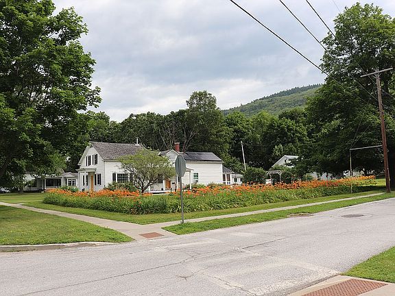 Lillies and mountain view.