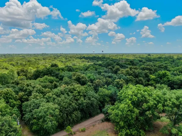 Shelby Ln, Ladonia, TX 75449