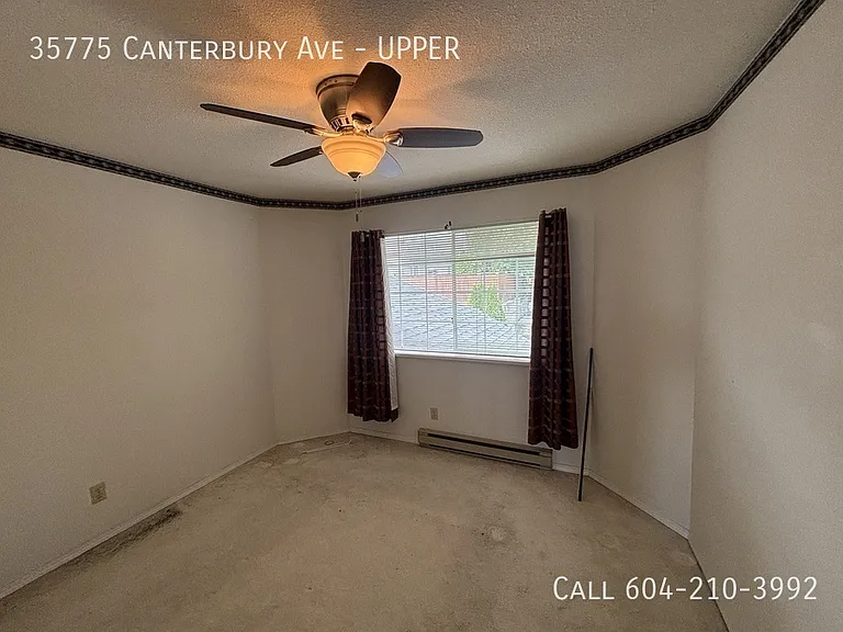 35775 Canterbury Ave #UPPER — Photo 7