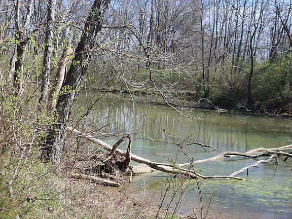 4th image of 1802 Poindexter Rd