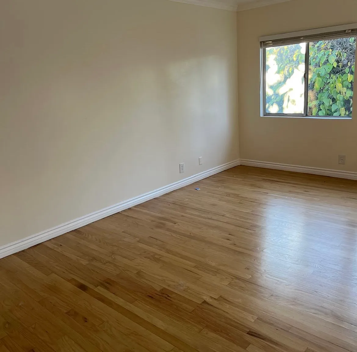 Coldwater Canyon Ave, Sherman Oaks — Photo 3