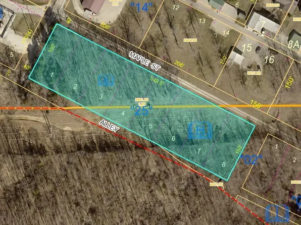 14 Maple St, Park Hills, MO 63601