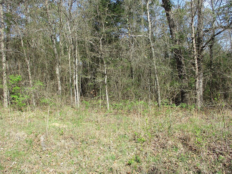 2nd image of County Road 2958
