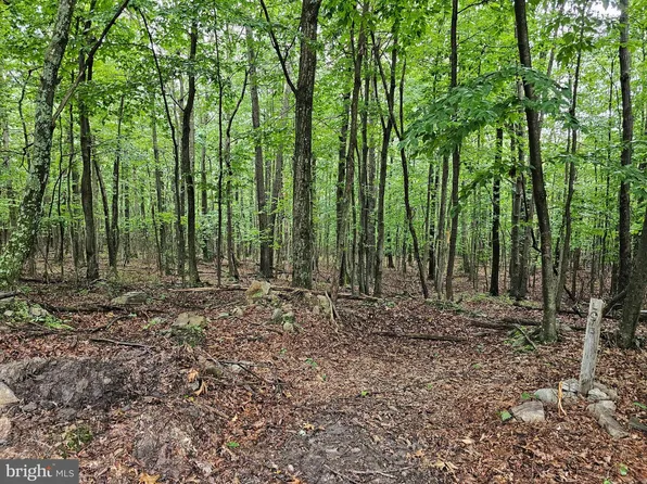 Saddle Ridge Ln Lot 29, Hedgesville, WV 25427