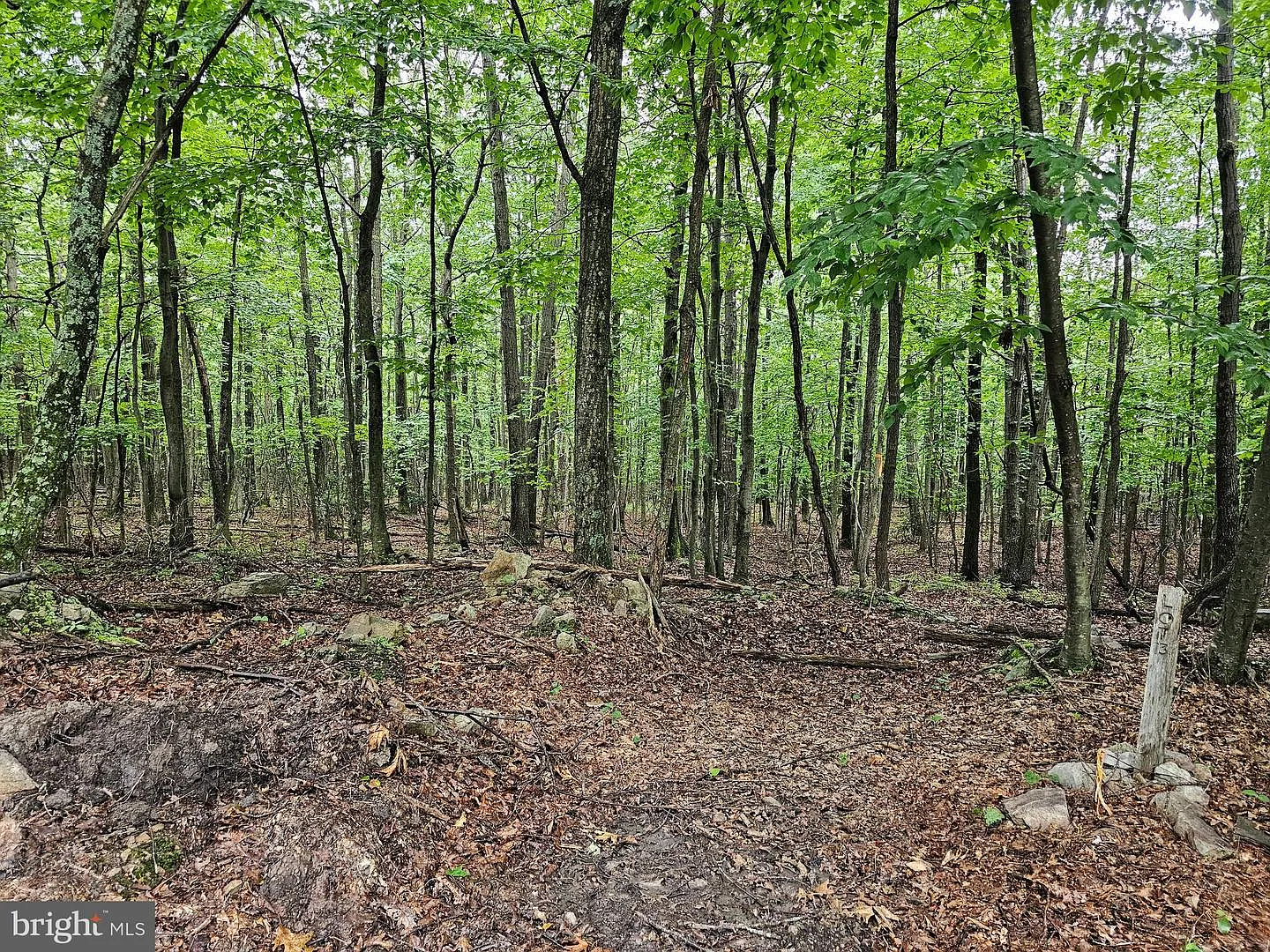 Saddle Ridge Ln Lot 29 photo 1