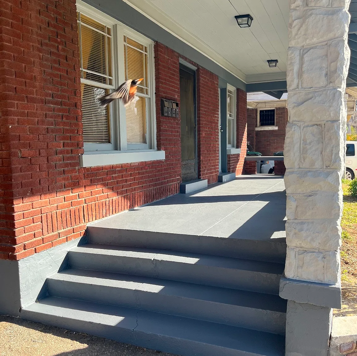 1 bed, $850 — Photo 2