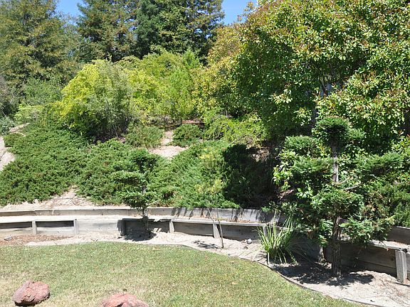 Low maintenance yard